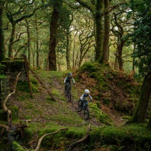 Alquilar E-Kid mtb 26: imagen 3