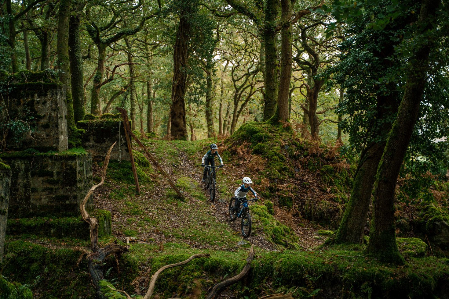 Alquilar E-Kid mtb 26: imagen 3