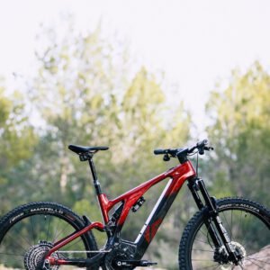 Alquilar E-Mountain Bike Full: imagen 3