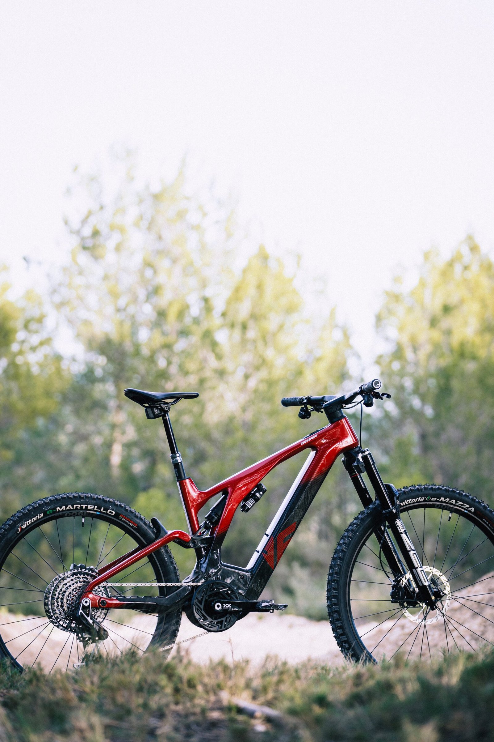 Alquilar E-Mountain Bike Full: imagen 3