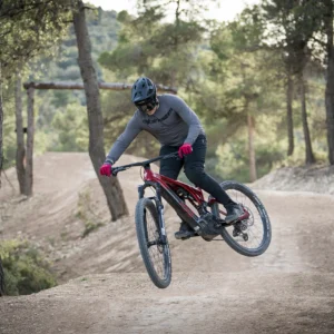 Alquilar E-Mountain Bike Full: imagen 2