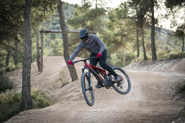 Alquilar E-Mountain Bike Full