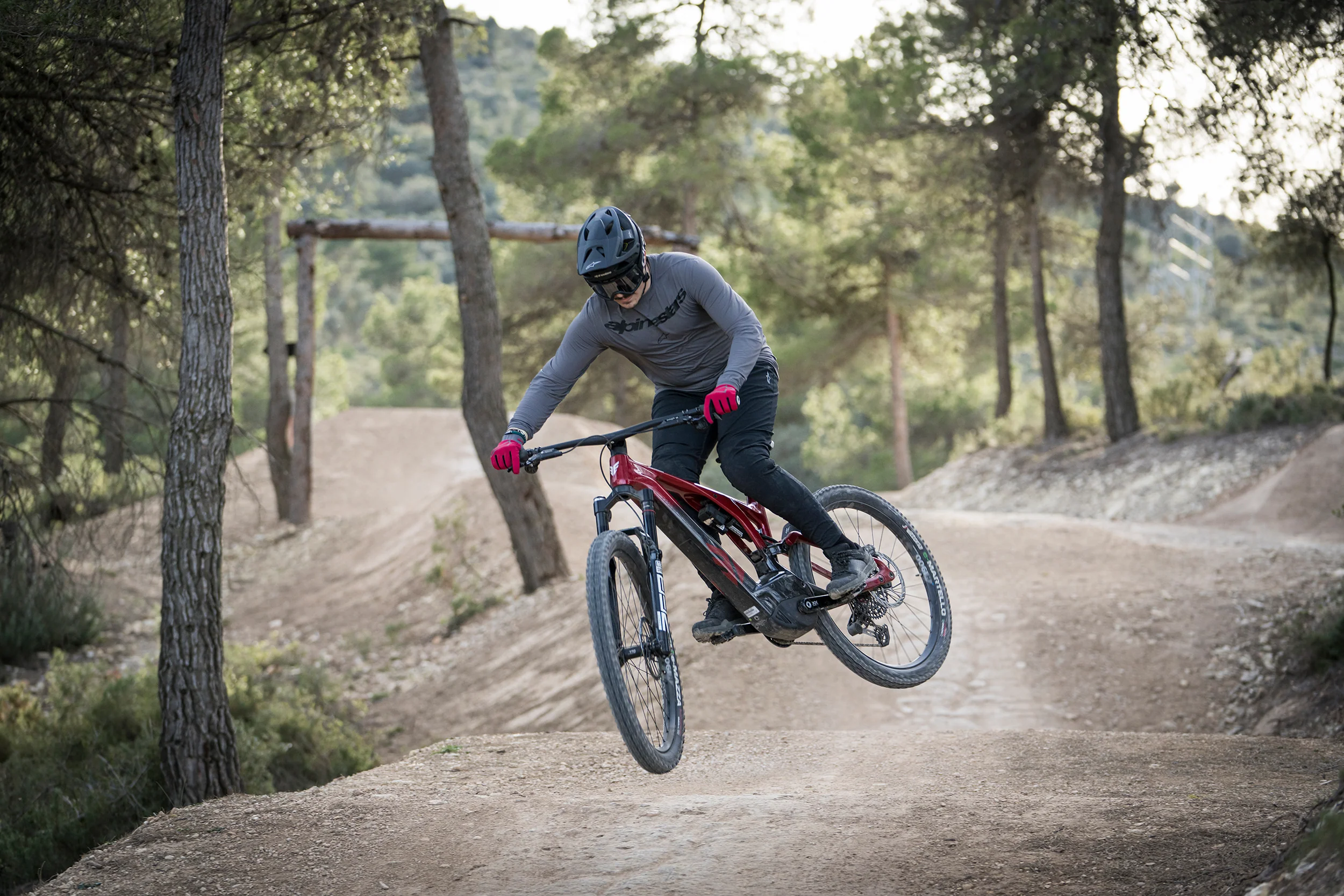 Alquilar E-Mountain Bike Full: imagen 2