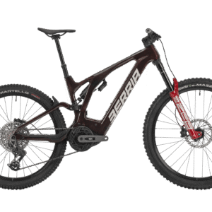 Alquilar E-Mountain Bike Full: imagen 1