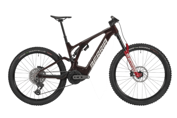 Alquilar E-Mountain Bike Full