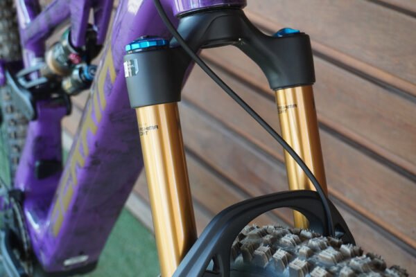 Berria Nexxen PRO Fox Kashima